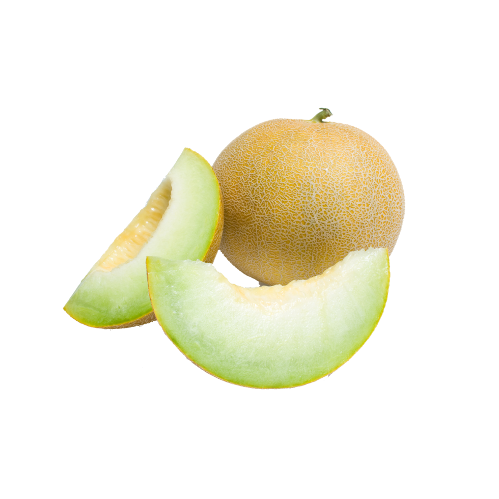 Honeydew Melons Large 5's Ontario Student Nutrition Services