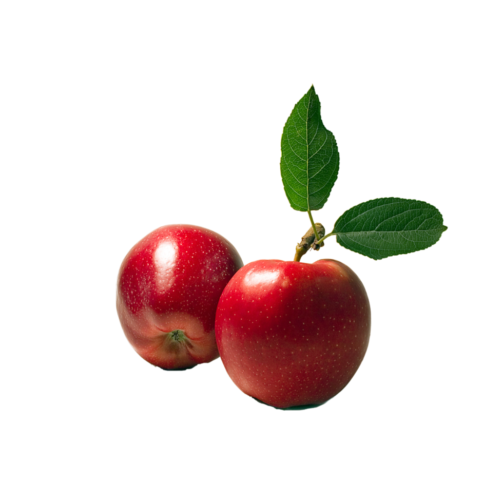 small-apples-2-27kg-bag-ontario-student-nutrition-services