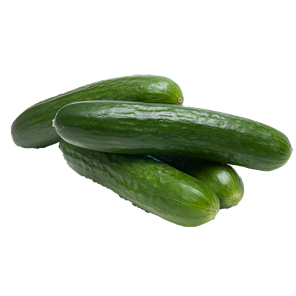 Cucumber Mini Seedless 4.54KG Ontario Student Nutrition Services