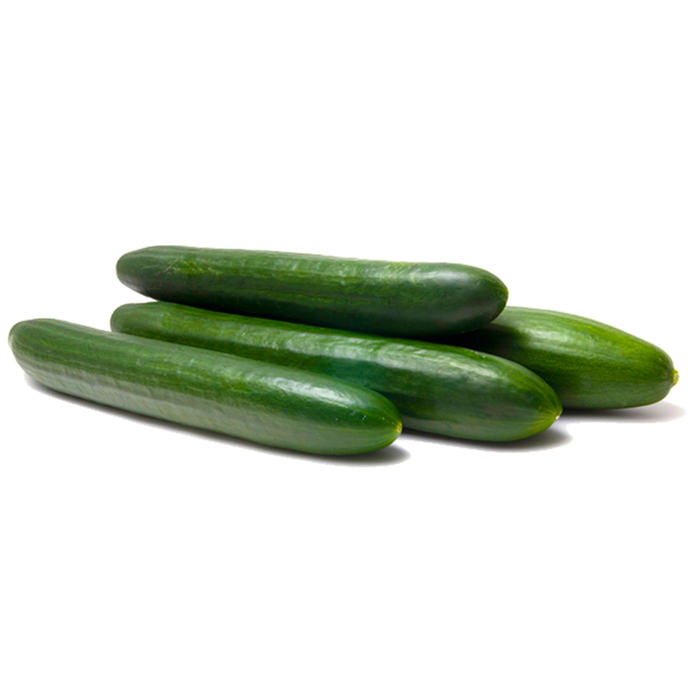 Cucumber English 12's (TC) Ontario Student Nutrition Services