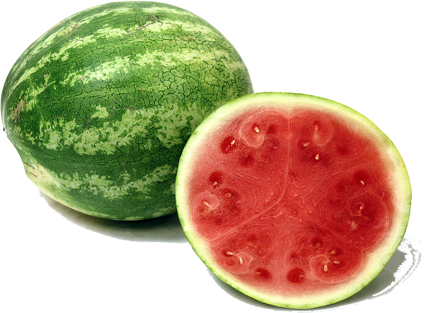 Watermelon Seedless Each Ontario Student Nutrition Services