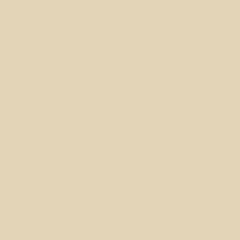 PARIS WHITE
